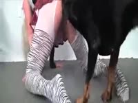 Masked MILF pleasuring a dog porn